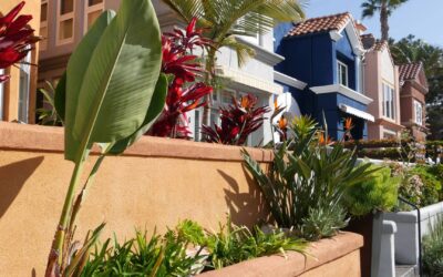 Accessing Down Payment Assistance in Los Angeles