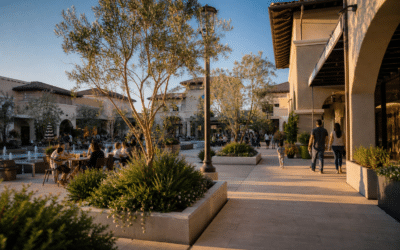 The Vineyards at Porter Ranch: Your Complete Guide for New Residents