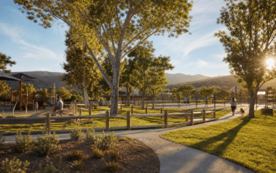Community Amenities Families Love in Porter Ranch