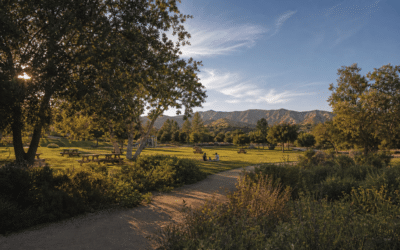 Best Places for Picnics in Porter Ranch: A Local’s Complete Guide