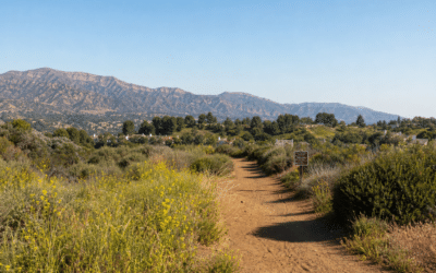 Los Mejores Senderos Naturales y Experiencias al Aire Libre en Porter Ranch