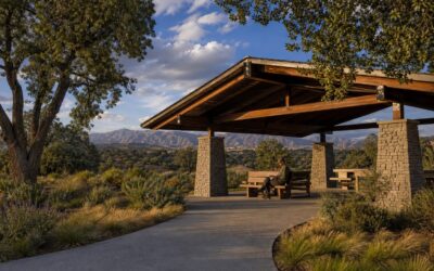 Best Places to Read, Relax, and Recharge Outdoors in Porter Ranch