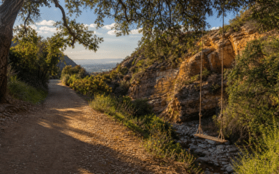Nature Walks in Porter Ranch Perfect for Every Skill Level