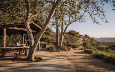 Outdoor Spaces Perfect for Remote Work Breaks in Porter Ranch