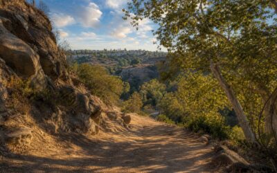What’s Near Limekiln Canyon in Porter Ranch: A Complete Guide