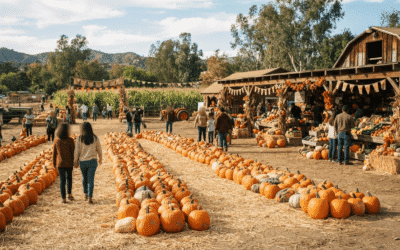 Tapia Bros. Pumpkin Patch in Encino: A Family-Friendly Fall Tradition