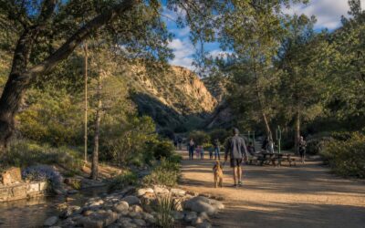 Outdoor Activities Every New Porter Ranch Resident Should Try