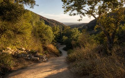 Best Walking Routes Around Villagio in Porter Ranch