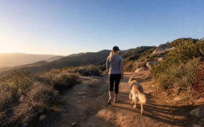 Where Dog Owners Near Tuscany/Cortile in Porter Ranch Can Walk Their Pups