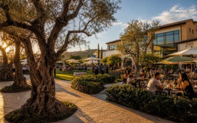 Best Places to Eat Around The Vineyards at Hillcrest in Porter Ranch