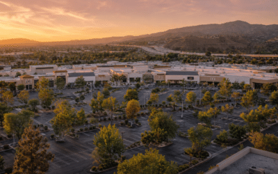 Porter Ranch Town Center: Your Complete Local Shopping Guide